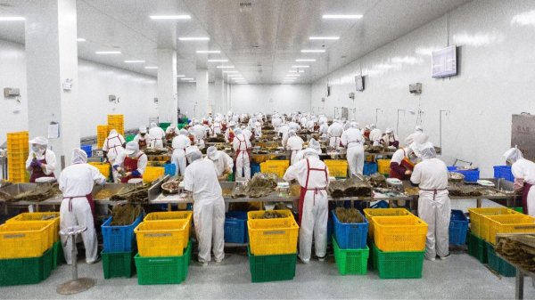 股票配资官方网址 联诚精密：已向国内工业机器人头部企业批量供应相关零件产品